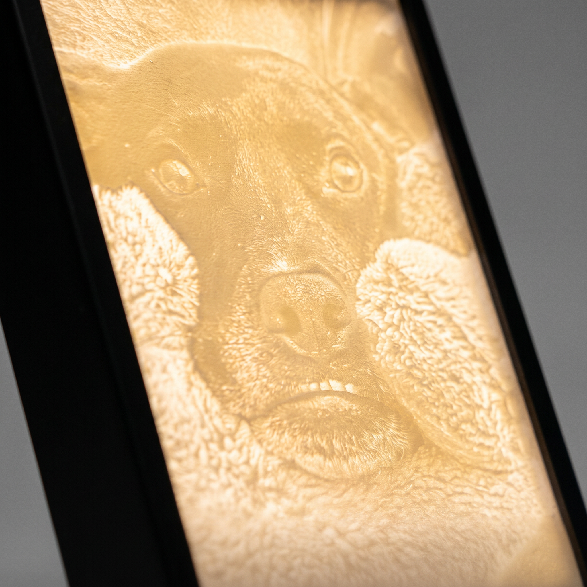 Custom Lithophane portrait