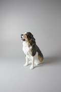 3D TEXTURED PET SCULPTURE