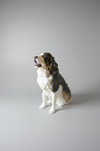 3D TEXTURED PET SCULPTURE
