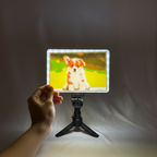 Custom Color Lithophane Light Portrait