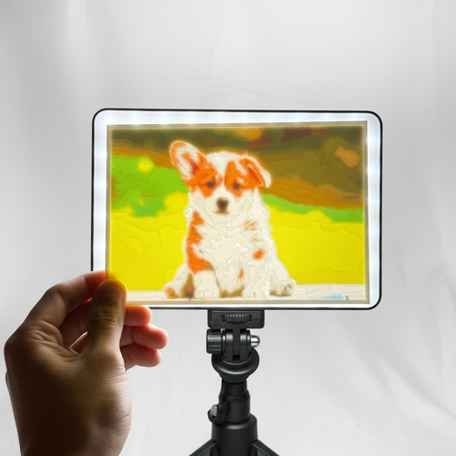 Custom Color Lithophane Light Portrait